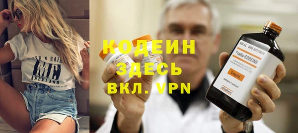 крисы Каменка