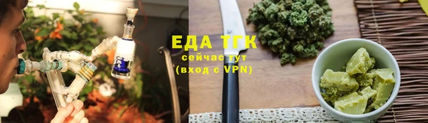 крисы Каменка
