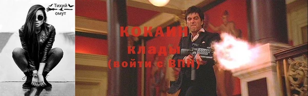 крисы Каменка
