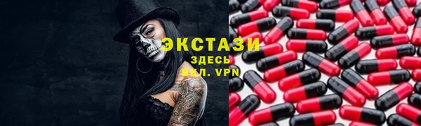 крисы Каменка