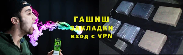 крисы Каменка