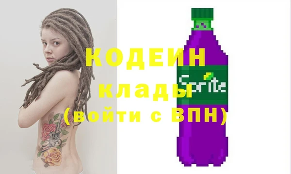 крисы Каменка