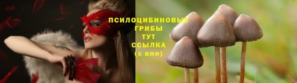 первитин Каменногорск