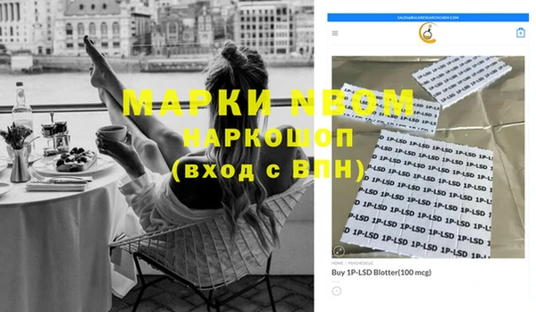 крисы Каменка
