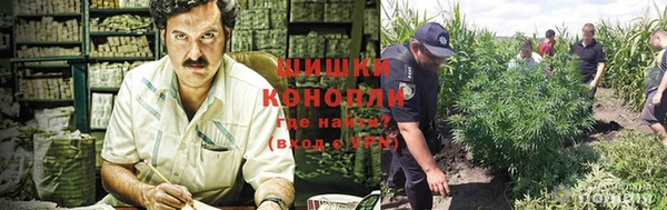 крисы Каменка