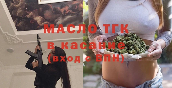 крисы Каменка