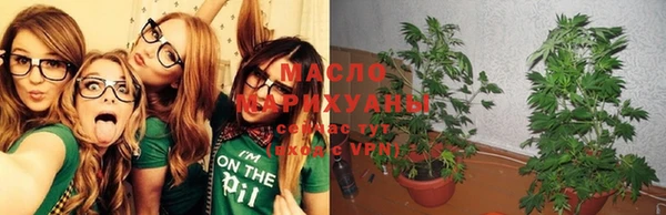 крисы Каменка