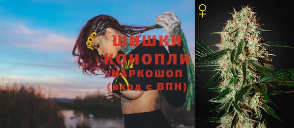 первитин Каменногорск