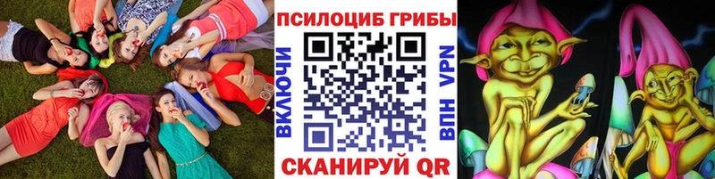 Купить  Гулькевичи  Псилоцибиновые грибы Psilocybine cubensis 